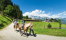 Reiten in Schladming Dachstein © Dominic Steiner