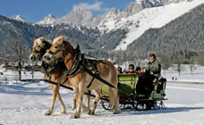 Romantische Pferdeschlittenfahrt in der Steiermark